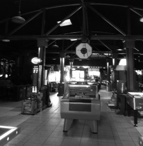 P1010812 nb luna  recad park