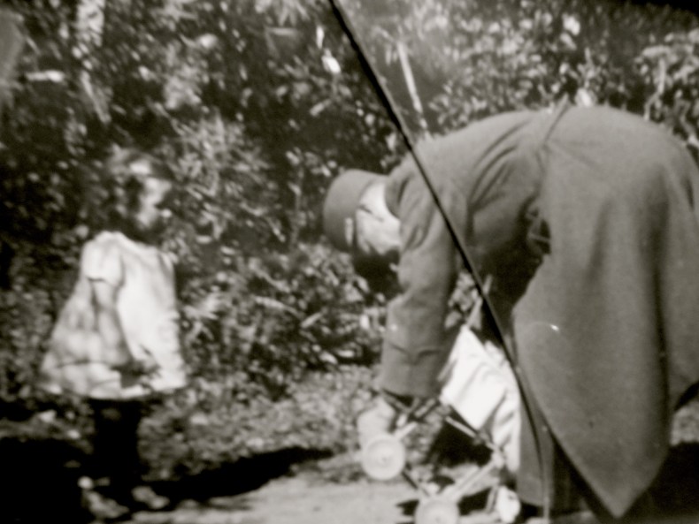 21 3 les pins maritimes pour cosaques