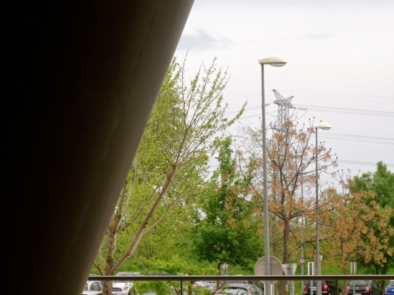 pour les cosaques - 27 - les cônes