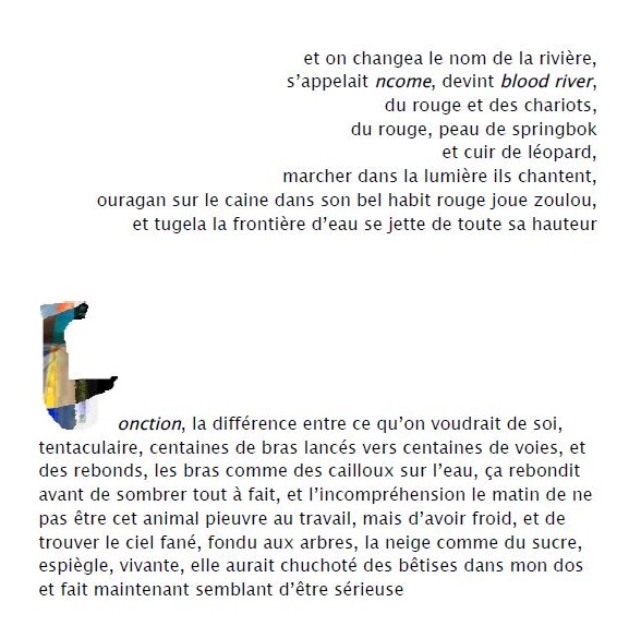 article piquetures 1