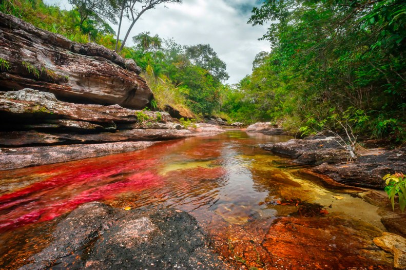 Caño Cristales, el río de colores, en La Macarena Meta