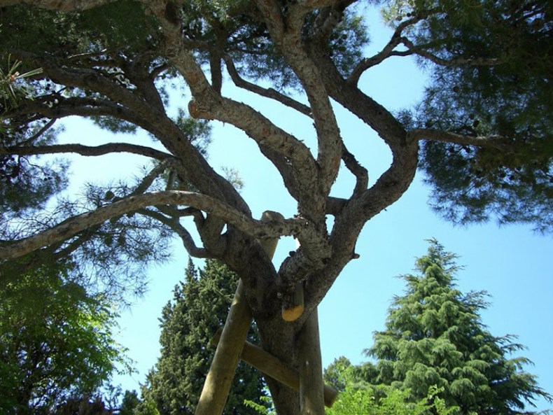 ce serait - 56 - le vent sculpteur