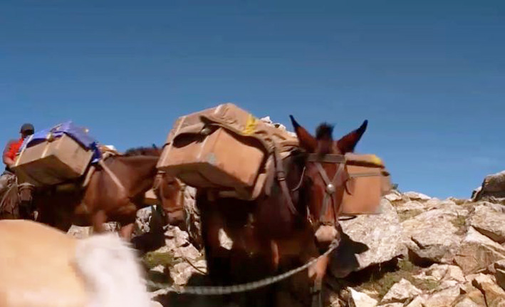 ce serait - 57 - la chjuca