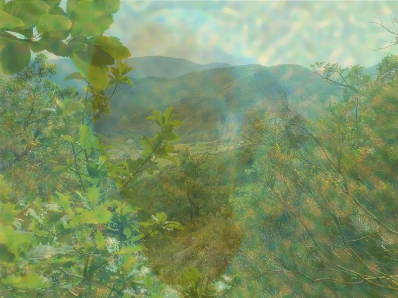 Tissus de mens -6-- image 3