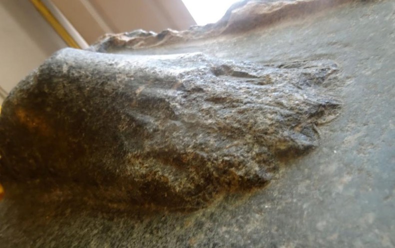 pour les cosaques des pas