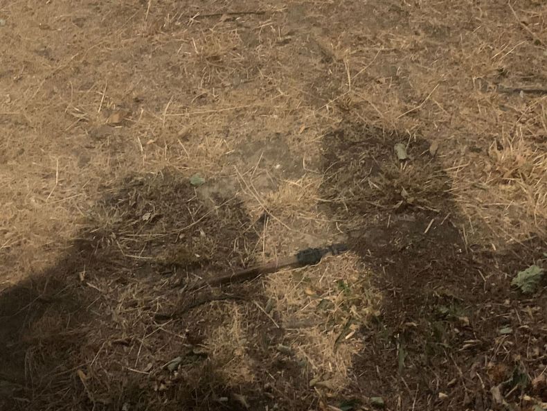 118950544_318961335854874_9124670856295450823_n