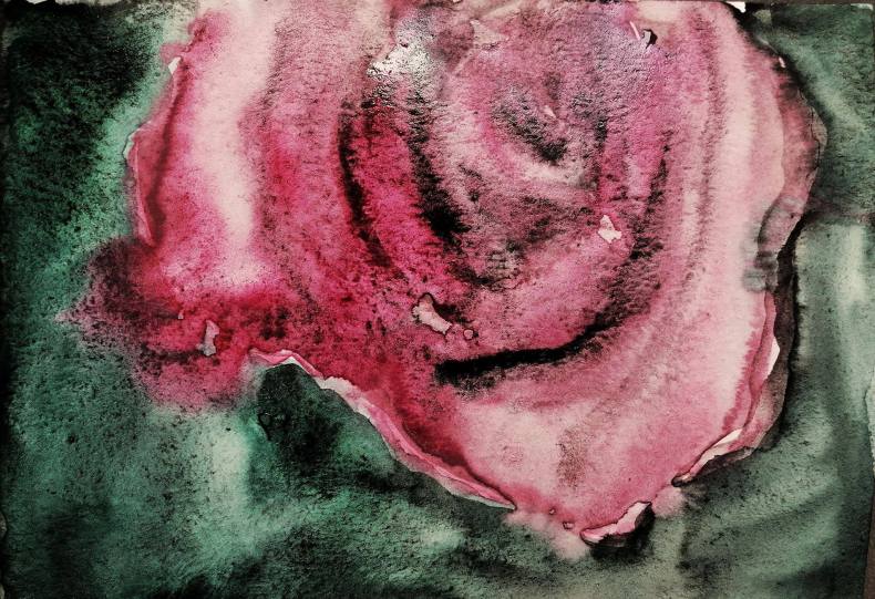 70362157_434595113818739_2085312828159295488_n