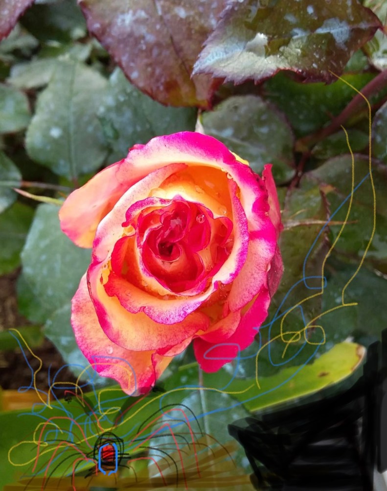 6cabb790-7a89-4830-8f7f-b63f42ad8c06