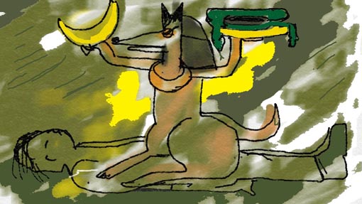 10 anubis