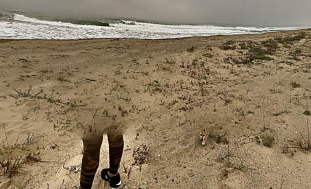 pour les cosaques - perdu