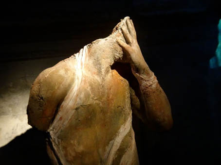 pour les cosaques - l'effroi (Caroline Leite)_modifié-1