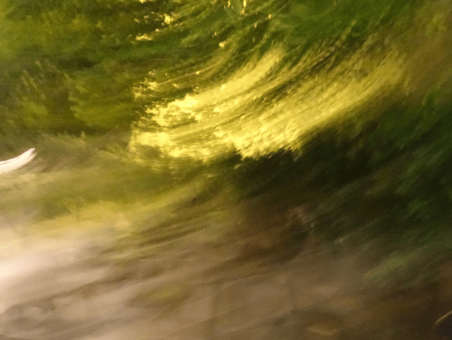 pour les cosaques - faibles maîtres