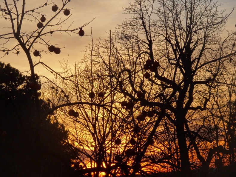 pour les cosaques - dernier soir
