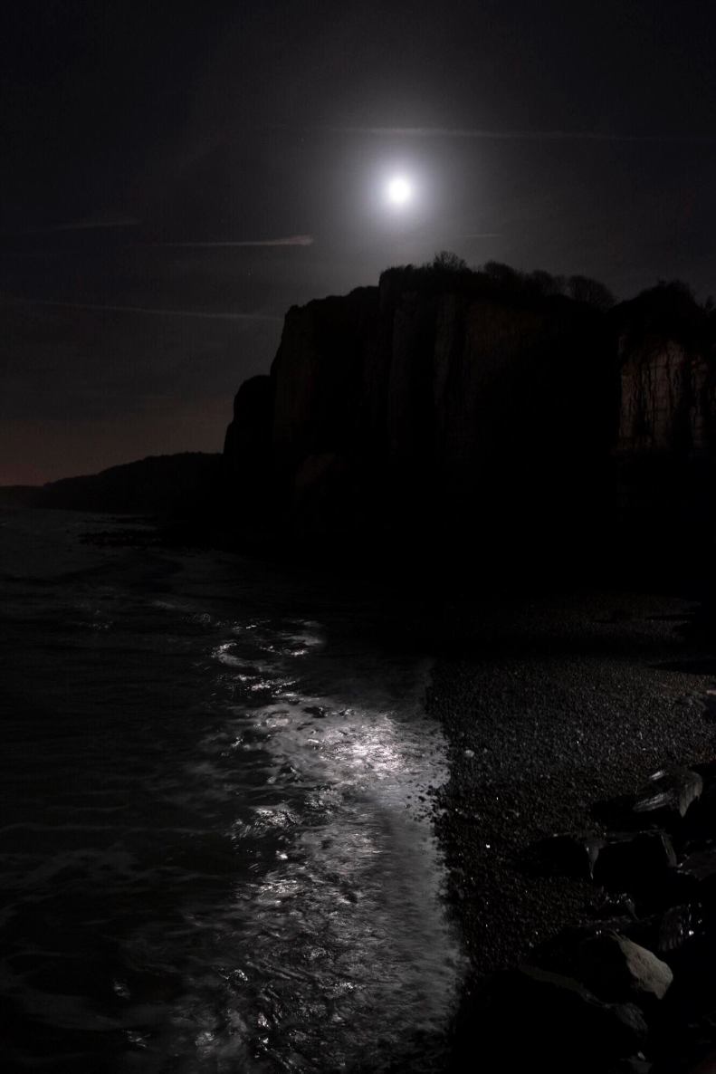 83016137_169848164244662_6904247223530291200_n