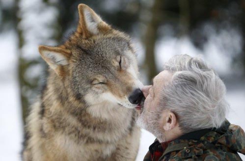 homme aux loups