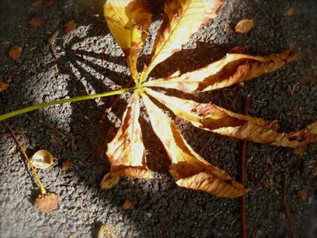 pour les cosaques - un refus